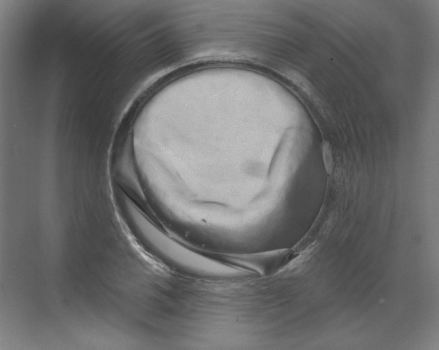 X0000068811030200606021545