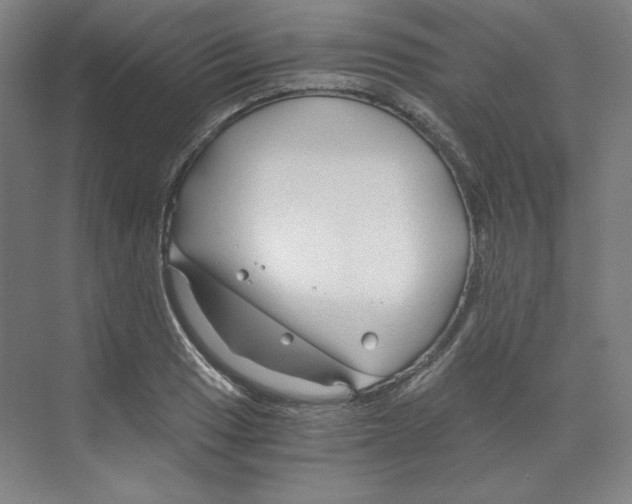 X0000068811033200606021545