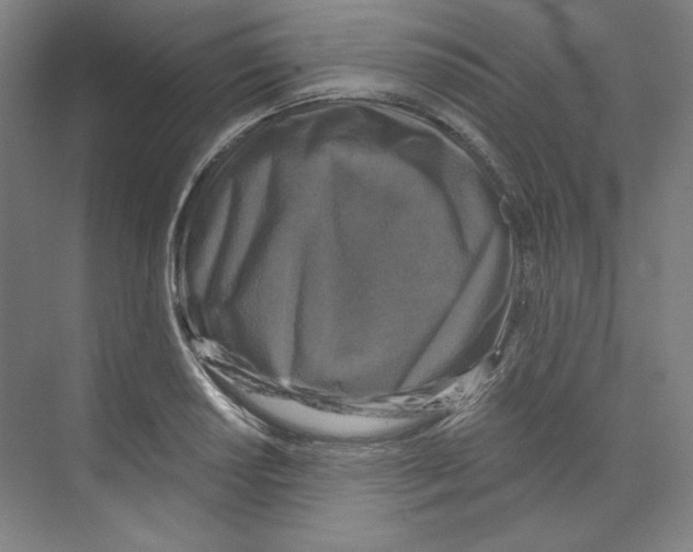 X0000068811034200606021545