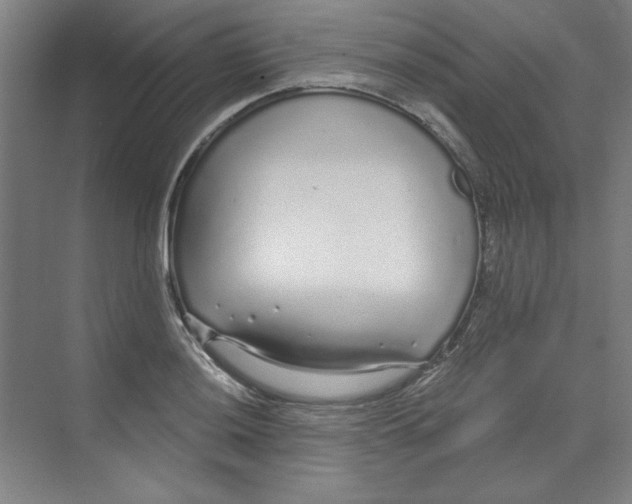 X0000068811036200606021546