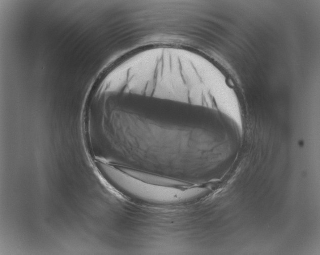 X0000068811037200606021546