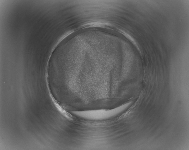 X0000068811042200606021546