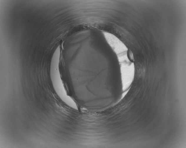 X0000068811060200606021545