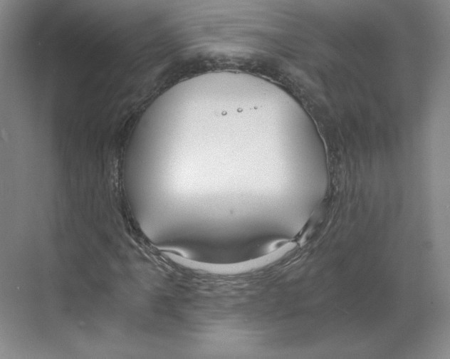 X0000068811061200606021545