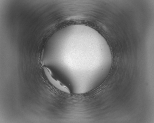 X0000068811062200606021545