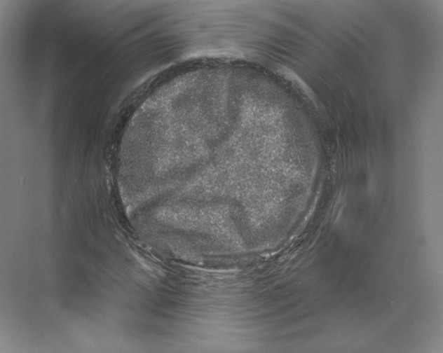 X0000068811064200606021545