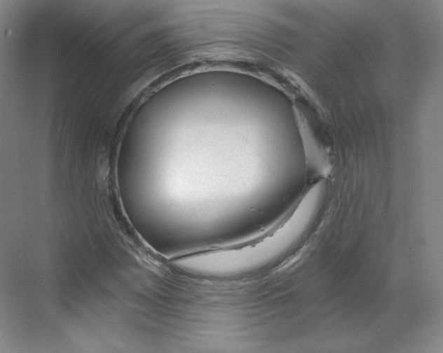 X0000068811065200606021545