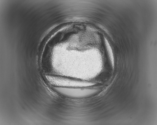 X0000068811066200606021545