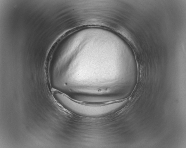 X0000068811068200606021545