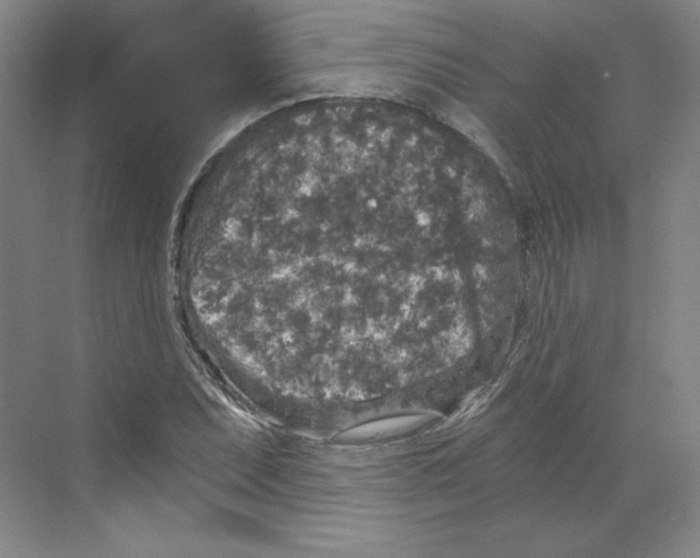 X0000068811071200606021545