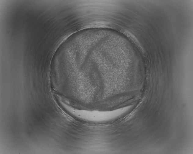 X0000068811081200606021545