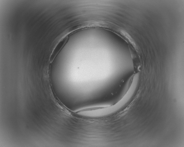 X0000068811089200606021545
