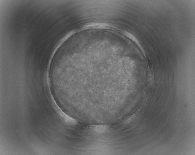 X0000068811090200606021544