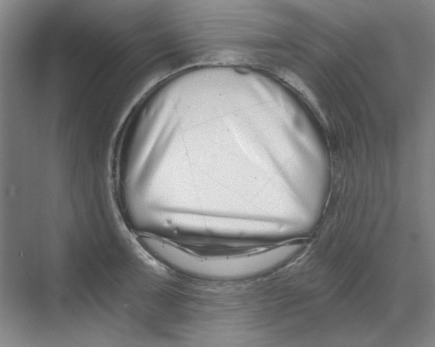 X0000068811091200606021544