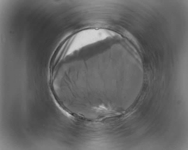X0000068811095200606021544