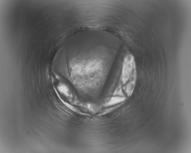 X0000068811106200606021543