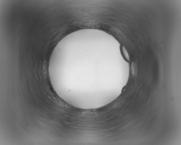 X0000068811107200606021543