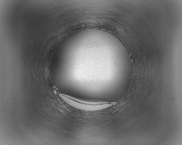 X0000068811109200606021544