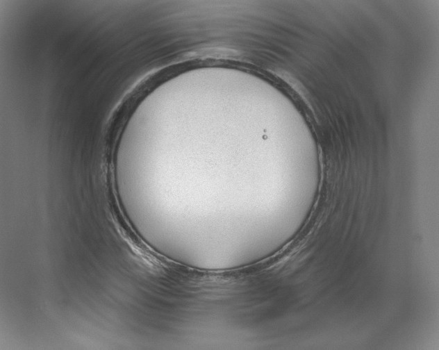 X0000068811115200606021544