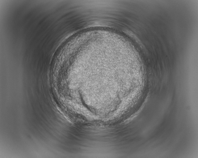 X0000068811121200606021544