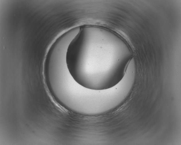 X0000068811128200606021544