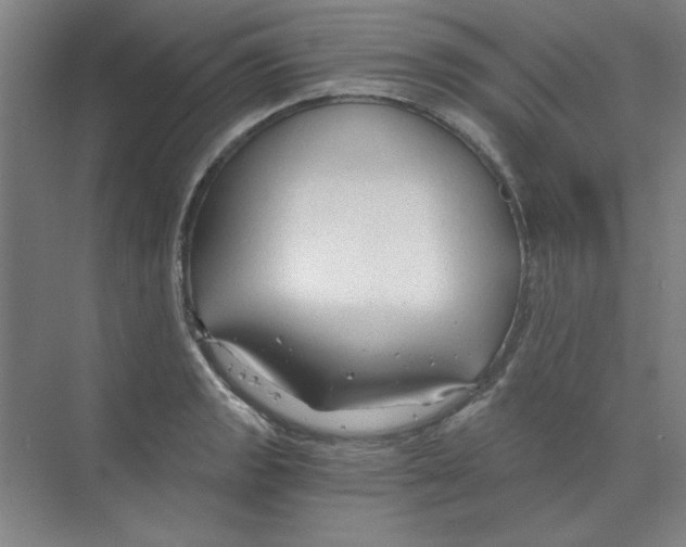 X0000068811133200606021544
