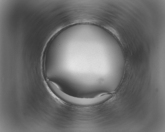 X0000068811135200606021544