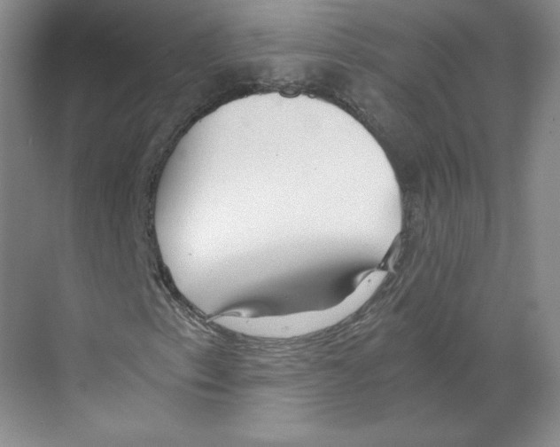 X0000068811153200606021543