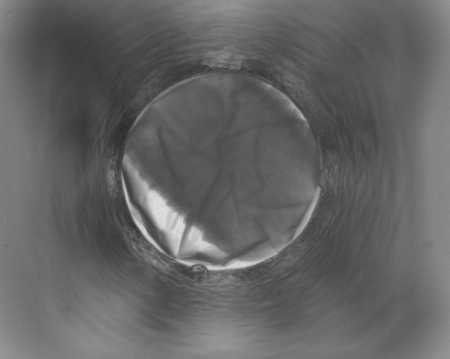 X0000068811154200606021543