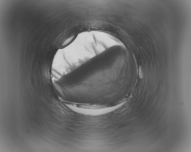 X0000068811155200606021543