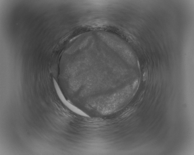 X0000068811156200606021543