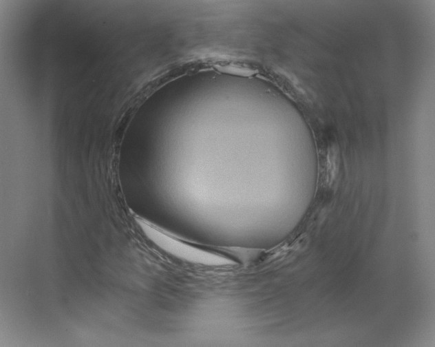 X0000068811157200606021543