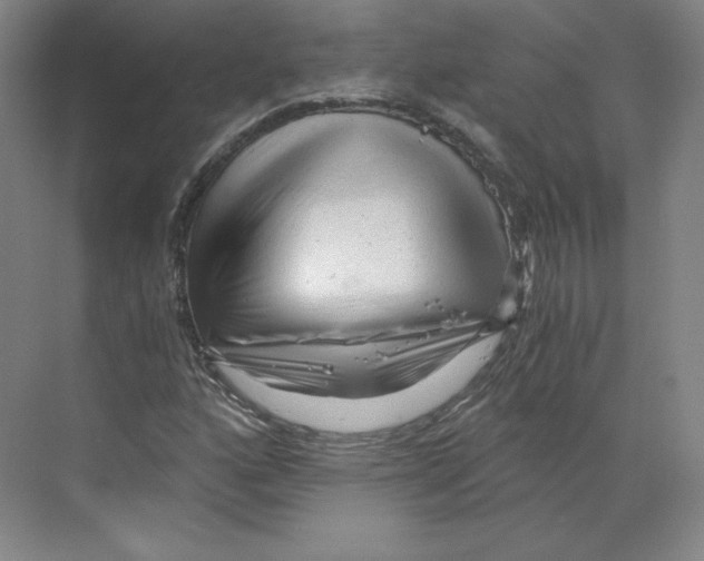 X0000068811160200606021543