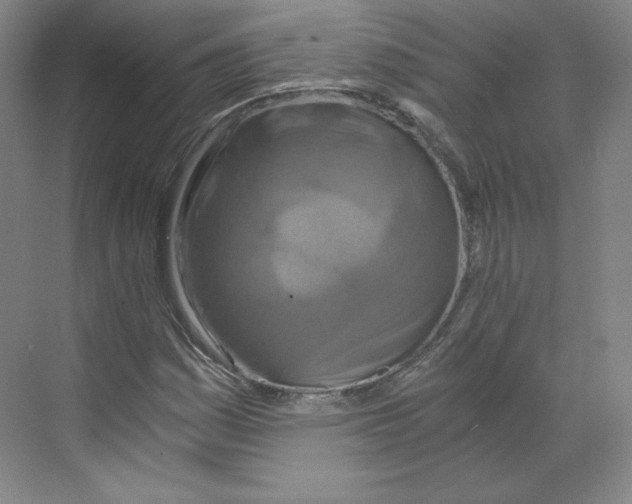 X0000068811161200606021543