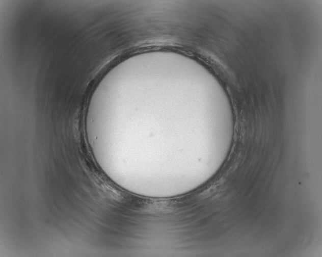 X0000068811162200606021543
