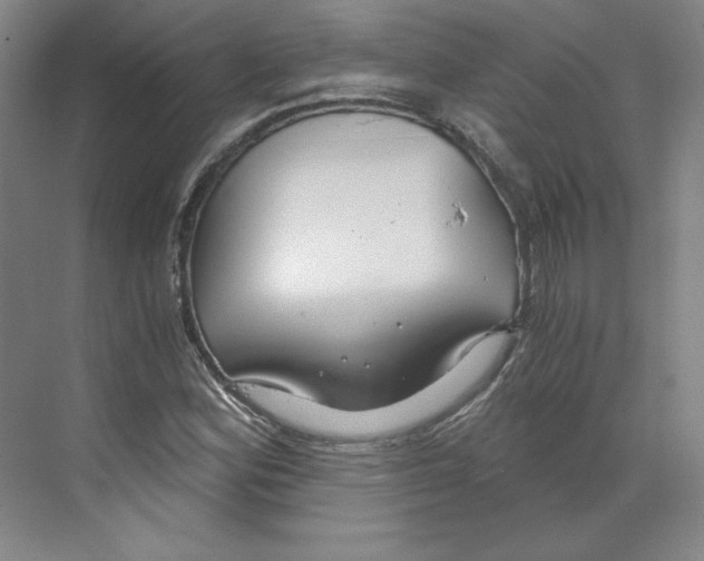 X0000068811164200606021543