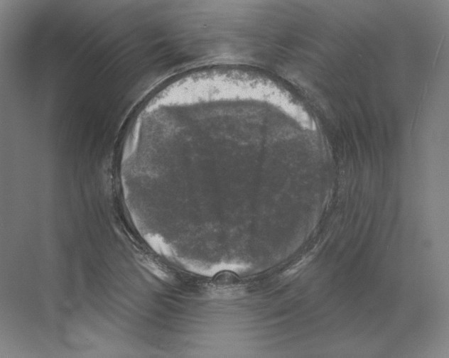 X0000068811170200606021543