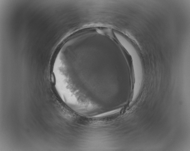 X0000068811173200606021543