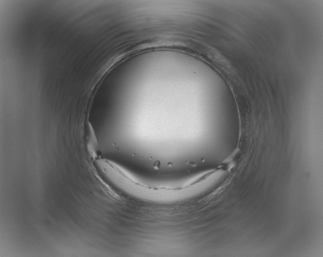 X0000068811177200606021543