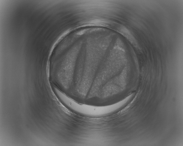 X0000068811180200606021543
