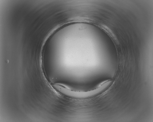 X0000068811188200606021543