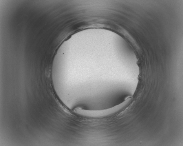 X0000068811193200606021543