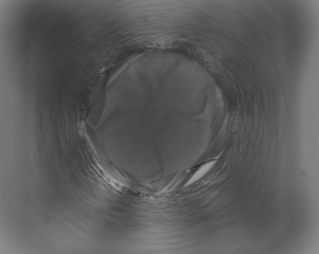 X0000068811202200606021542