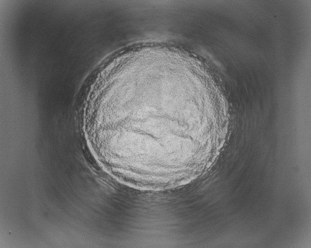 X0000068811208200606021542