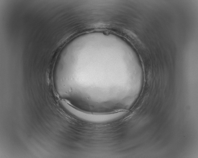 X0000068811209200606021542