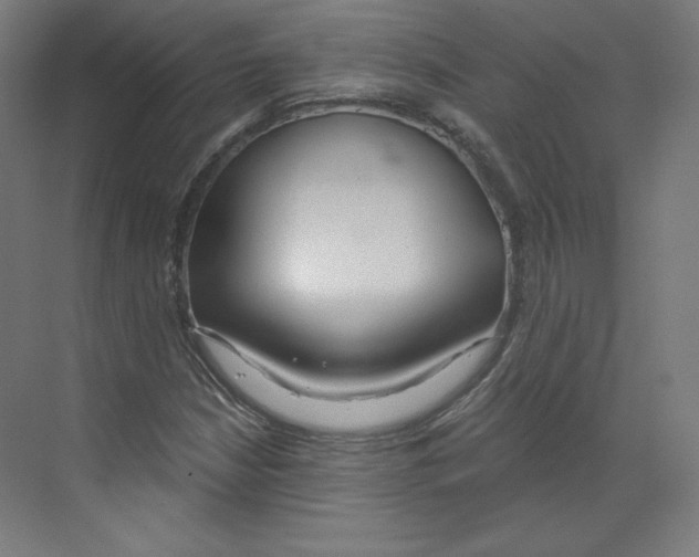 X0000068811210200606021542