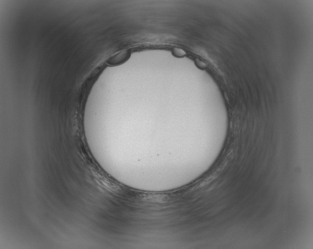 X0000068811211200606021542