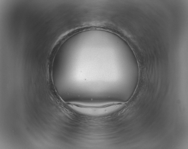 X0000068811214200606021542