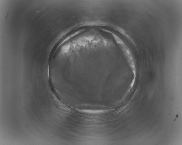 X0000068811221200606021542