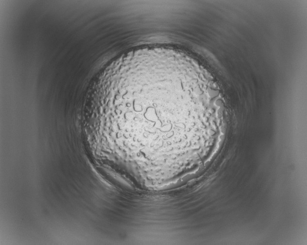 X0000068811225200606021542